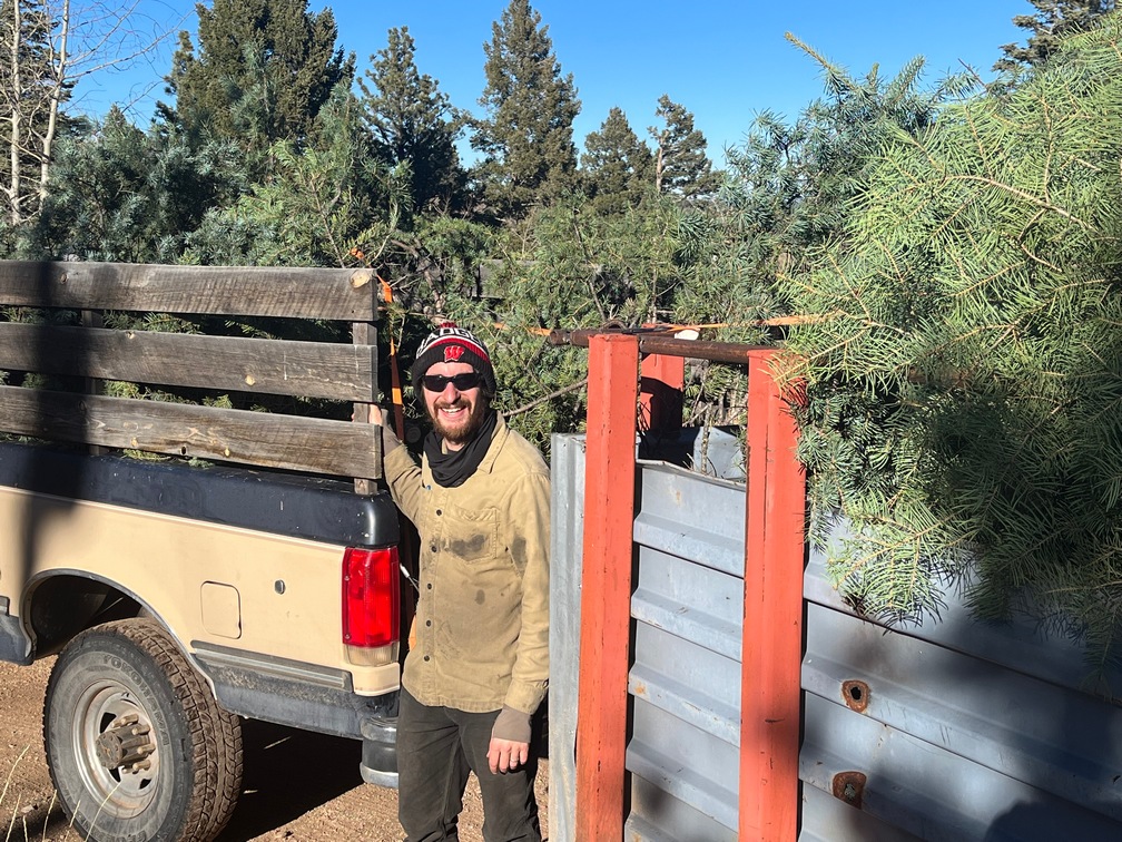 Christmas Trees from Greenleaf